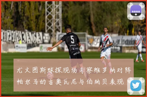 尤文图斯球探现场考察维罗纳对阵帕尔马的吉奥瓦尼与伯纳贝表现