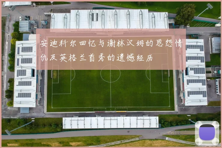 安迪科尔回忆与谢林汉姆的恩怨情仇及英格兰首秀的遗憾经历